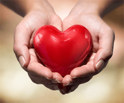 Hands raising to volunteer to help.